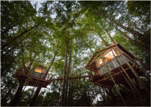 A Canopy Crew tree house at night