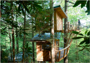 A Canopy Crew tree house