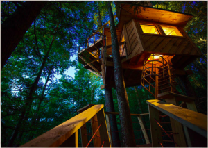 A Canopy Crew tree house at twilight